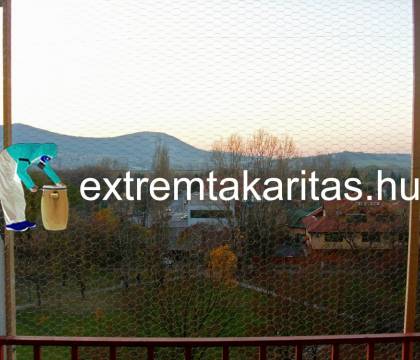 Galambháló felszerelés galambmentesítés